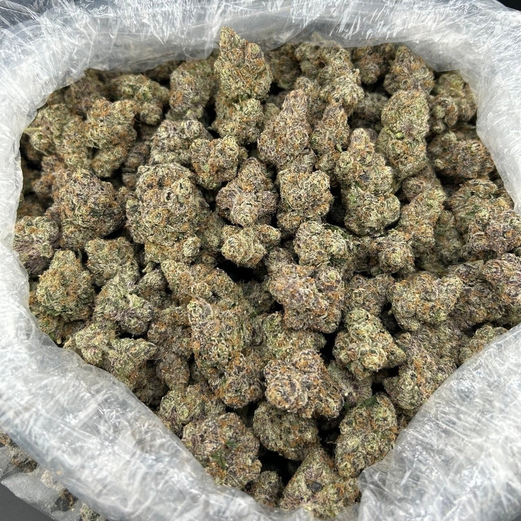 8th (3.5)