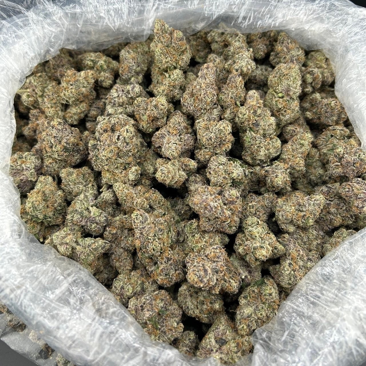 8th (3.5)