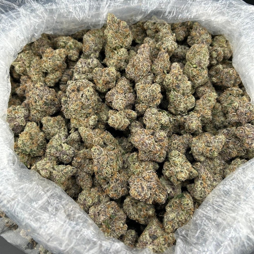 8th (3.5)